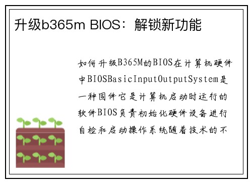 升级b365m BIOS：解锁新功能