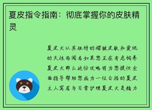 夏皮指令指南：彻底掌握你的皮肤精灵